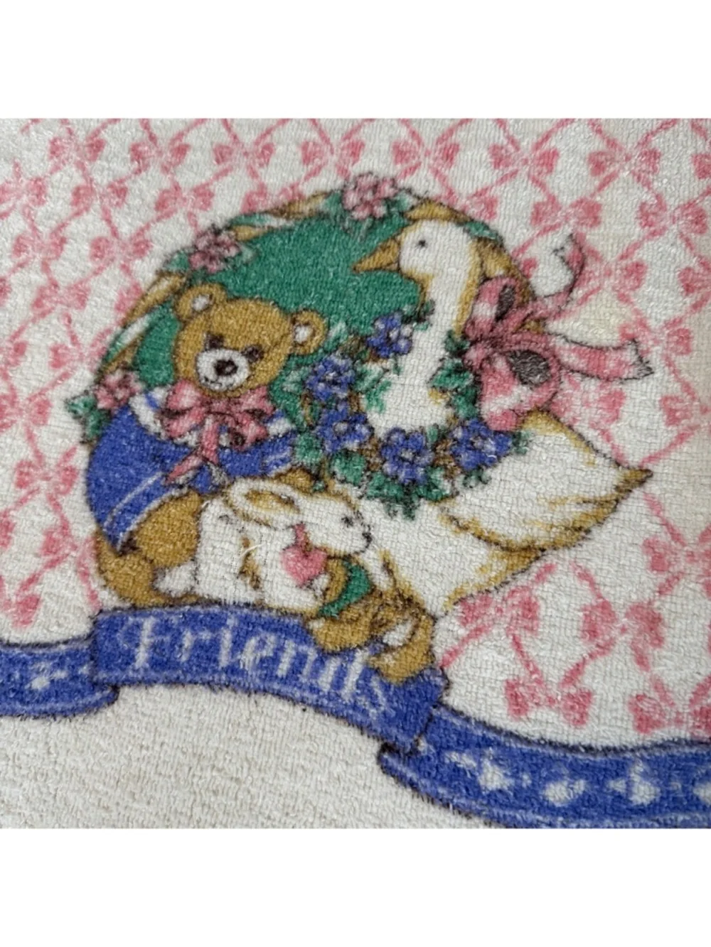 Vintage Cannon 2 Kitchen Hand Towels Fringe Cottage Granny Goose Embroidered 90s